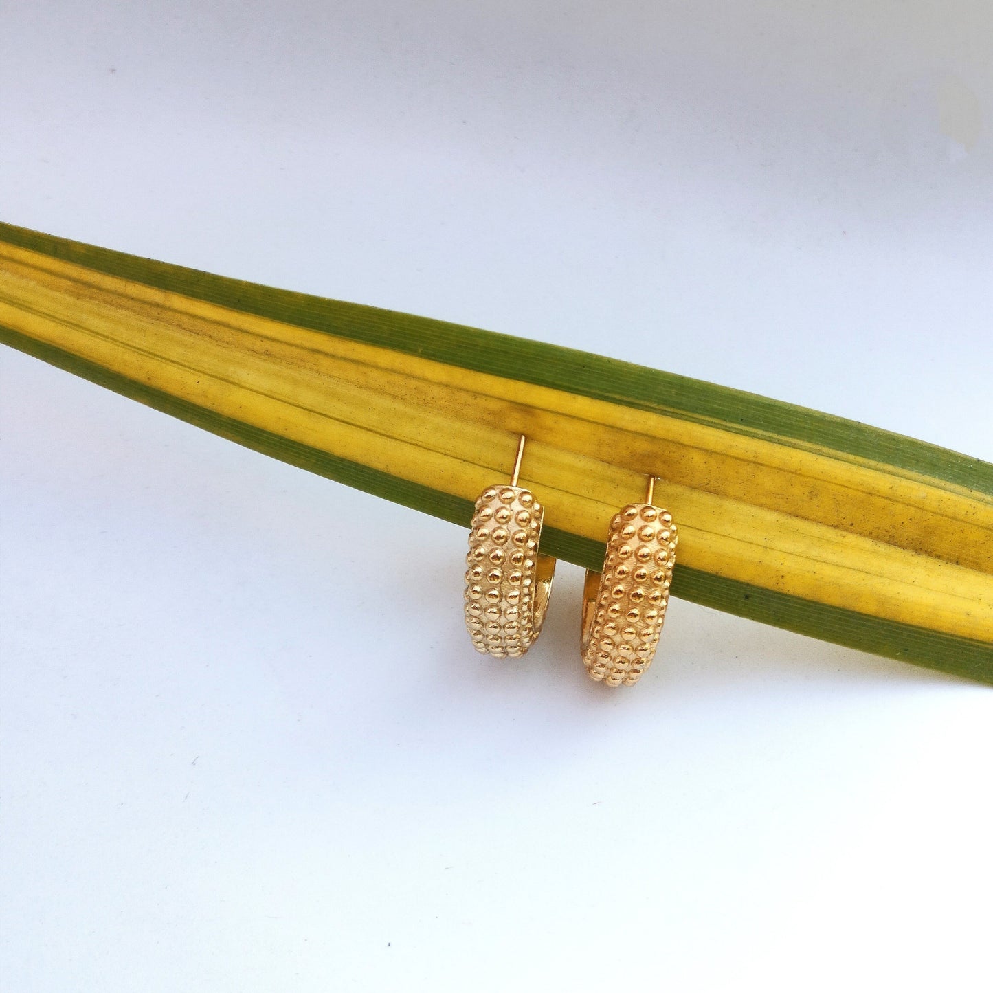 Golden Small Hoop Earring